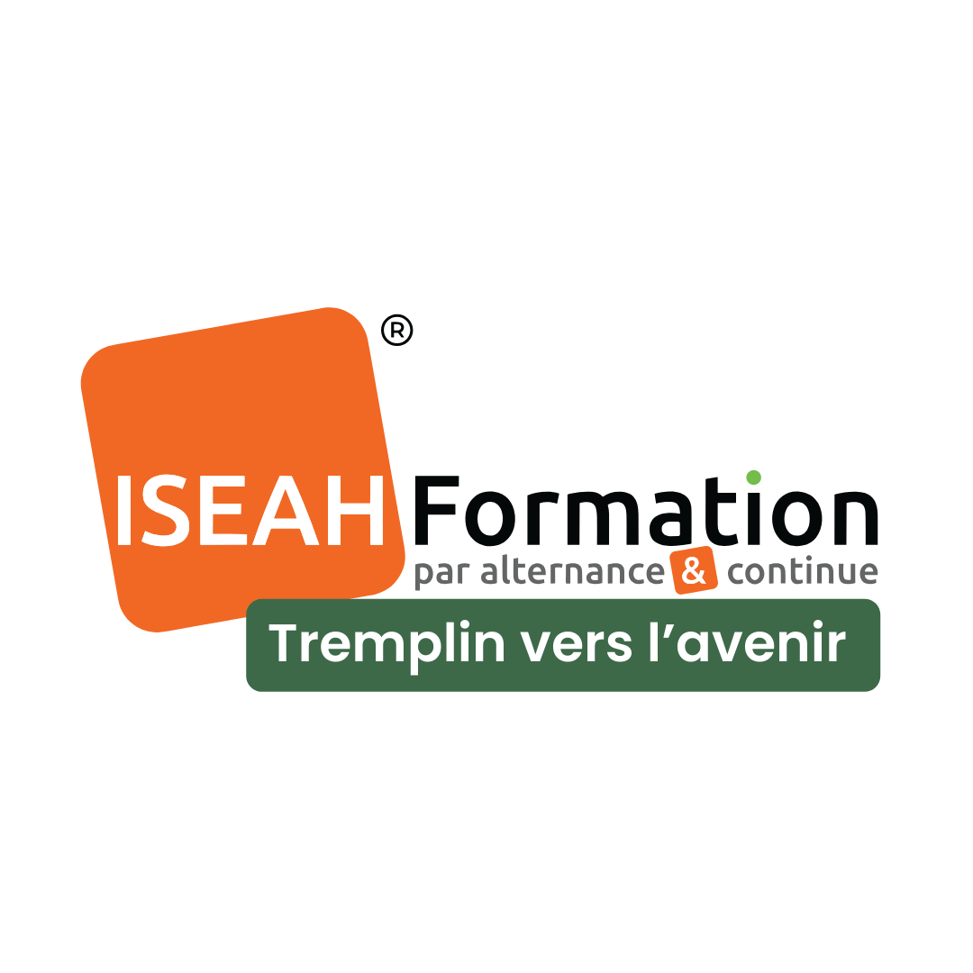 ISEAH FORMATION - Logo